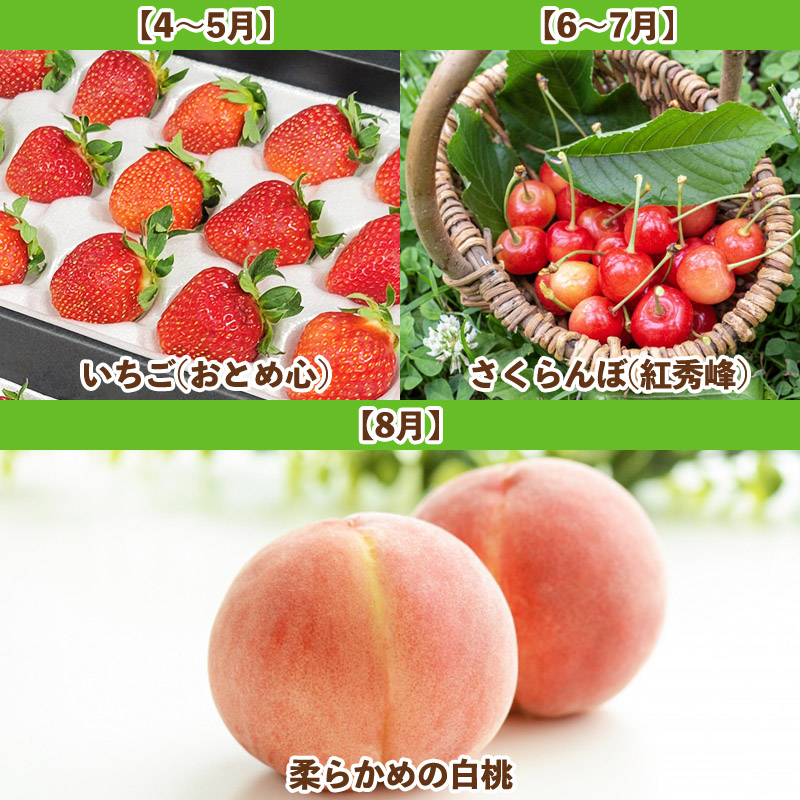 【定期便5回】山形人気果実ベスト５ FY25-284