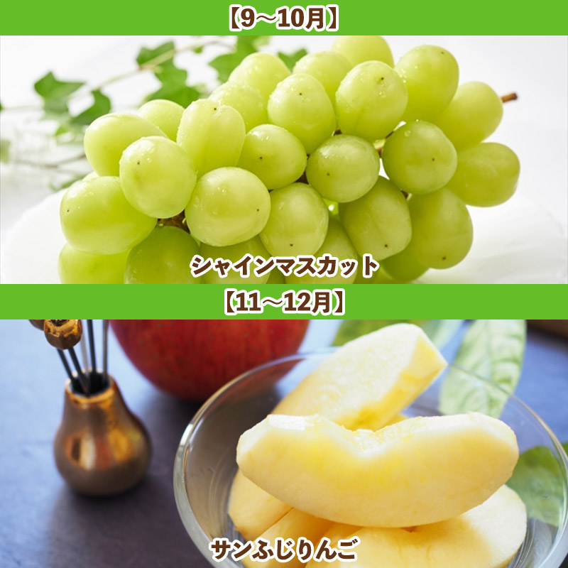 【定期便5回】山形人気果実ベスト５ FY25-284