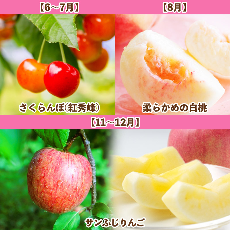 【定期便3回】山形人気果実ベスト３ FZ25-286
