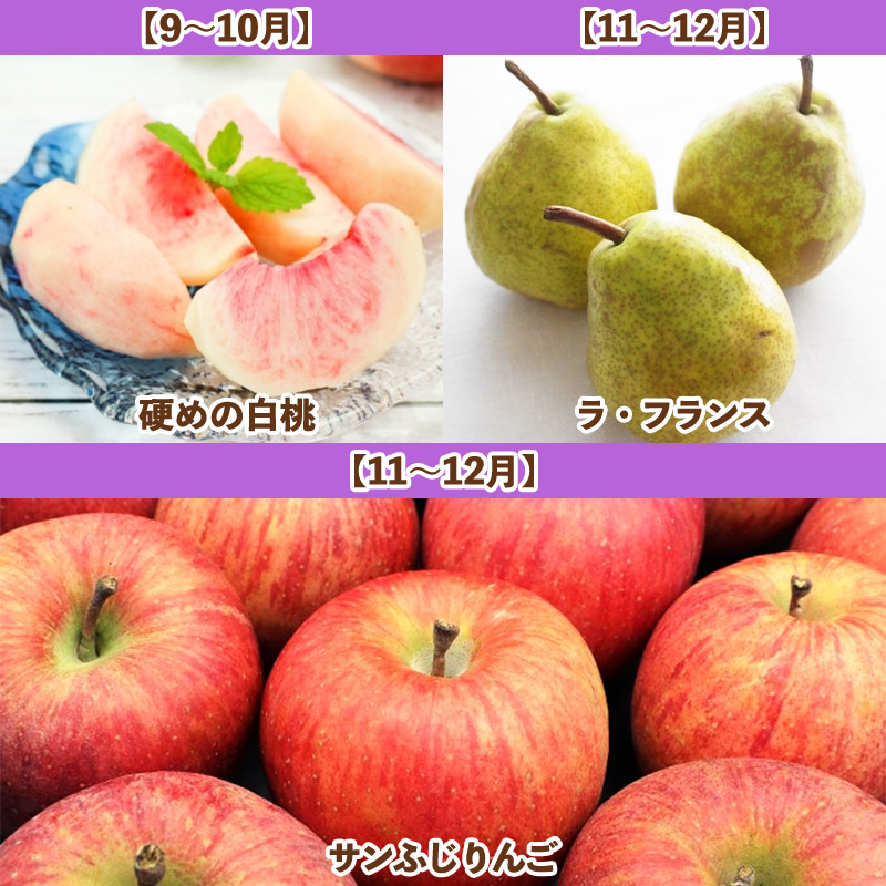 【定期便6回】フルーツBOX -定期便 6回- FY25-287