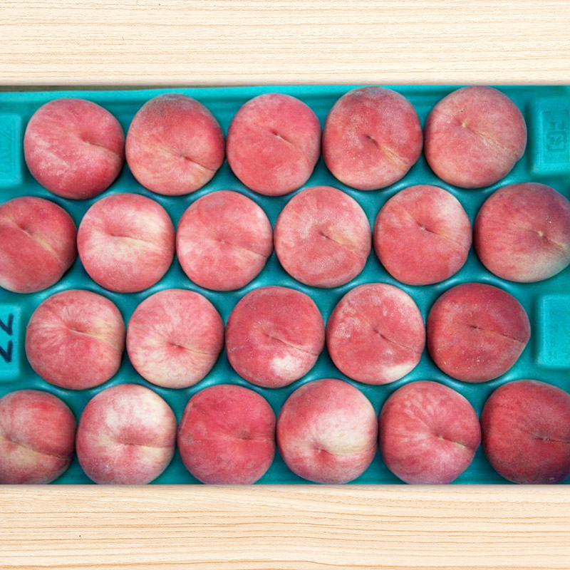 【定期便3回】山形の産直所で人気のベスト3！さくらんぼ・白桃・シャインマスカット【季節のファミリー便】 FY25-223