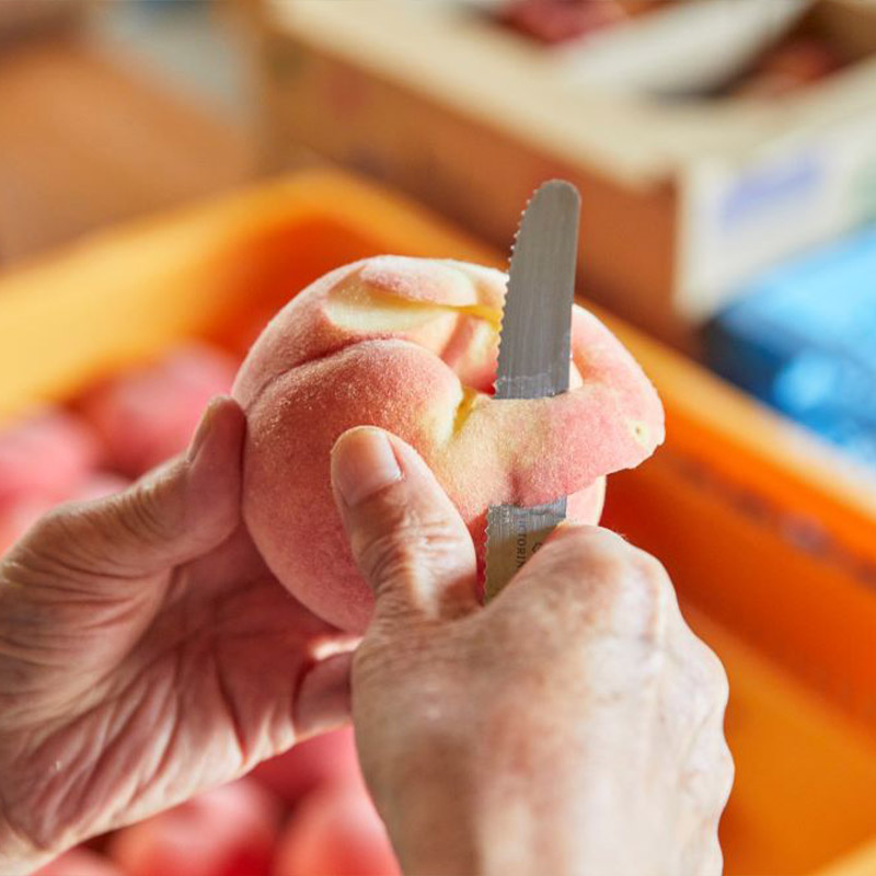 【定期便3回】山形の産直所で人気のベスト3！さくらんぼ・白桃・シャインマスカット【季節の少量便】 FZ25-948 くだもの 果物 フルーツ 山形 山形県 山形市