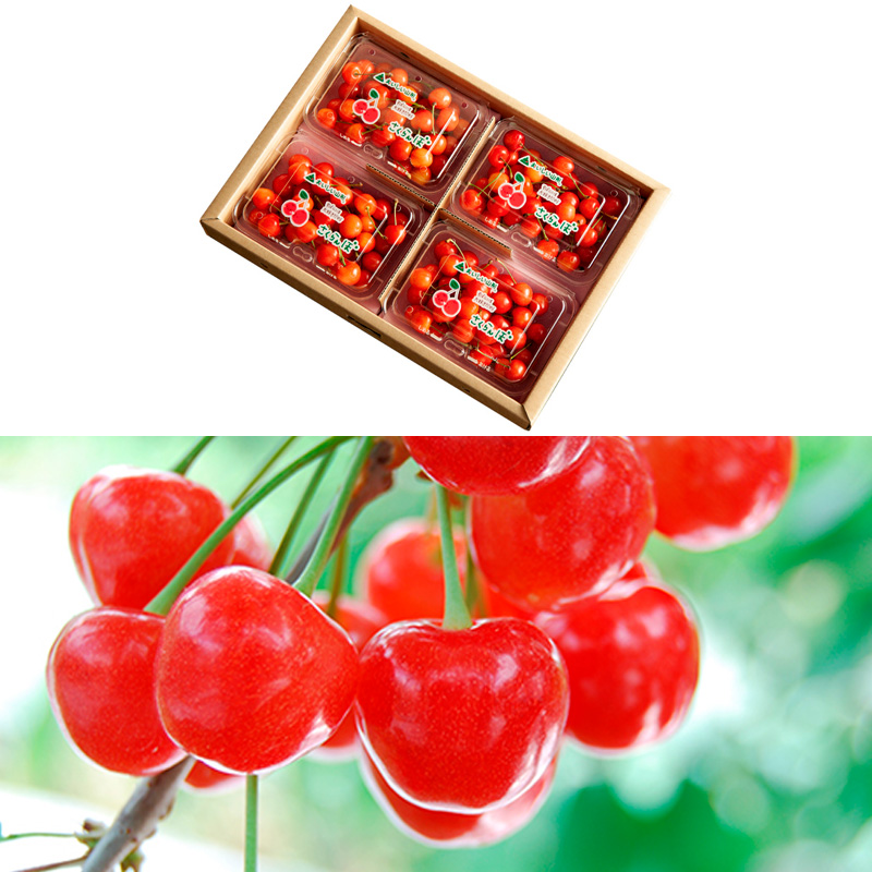 【定期便3回】【さくらんぼ定期便3回】山形のさくらんぼ 佐藤錦・紅秀峰 各720g×3回[5月・6月・7月] 【令和8年産先行予約】FS25-003