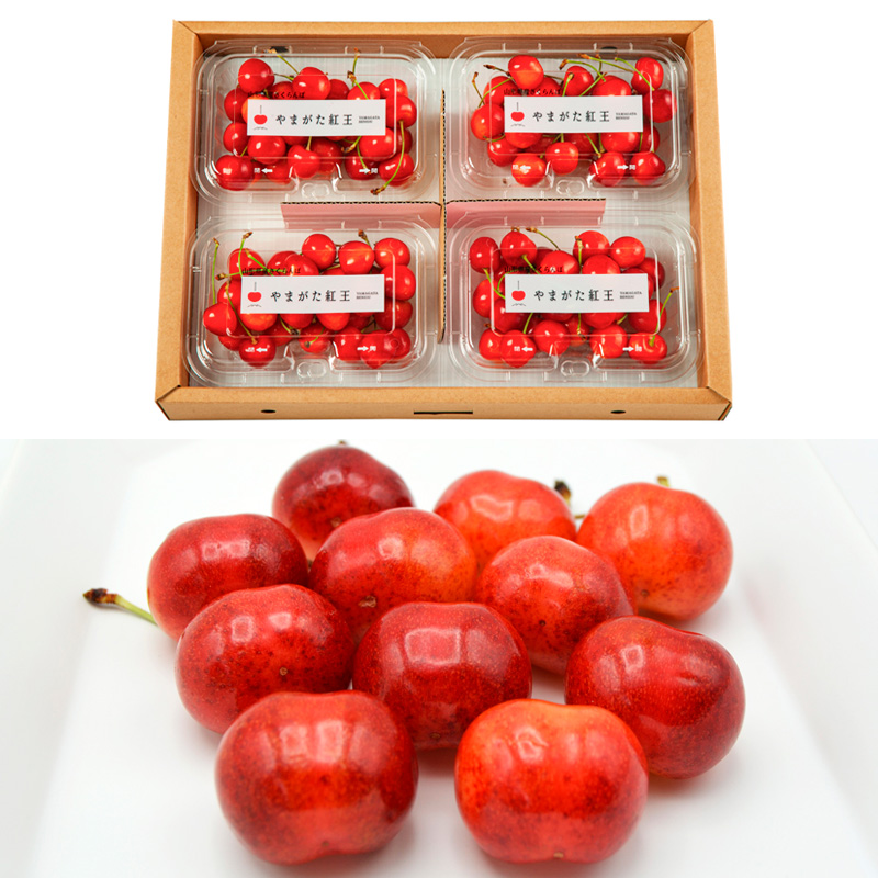 【定期便3回】【さくらんぼ定期便3回】山形のさくらんぼ 佐藤錦・紅秀峰 各720g×3回[5月・6月・7月] 【令和8年産先行予約】FS25-003