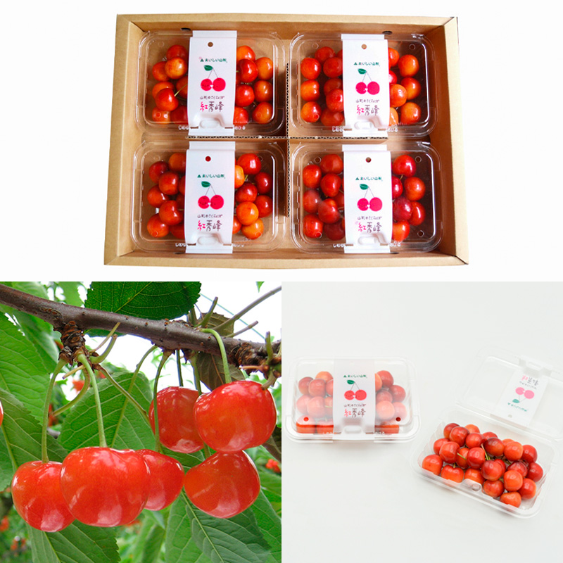 【定期便3回】【さくらんぼ定期便3回】山形のさくらんぼ 佐藤錦・紅秀峰 各720g×3回[5月・6月・7月] 【令和8年産先行予約】FS25-003