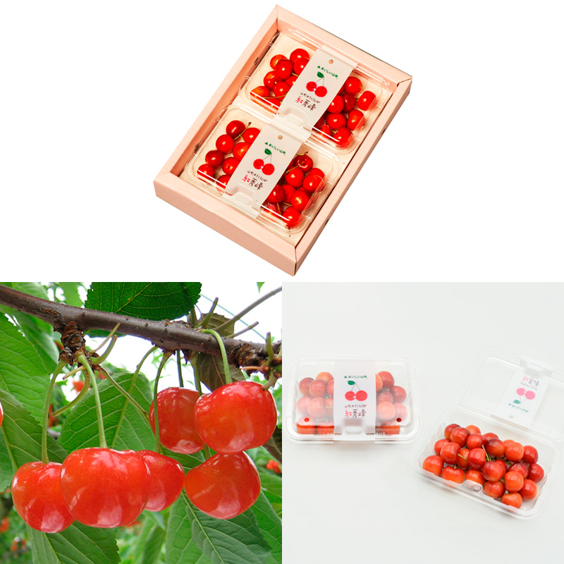 【定期便3回】山形のさくらんぼ 佐藤錦・紅秀峰 各360g×3回[5月・6月・7月] 【令和8年産先行予約】FS25-007