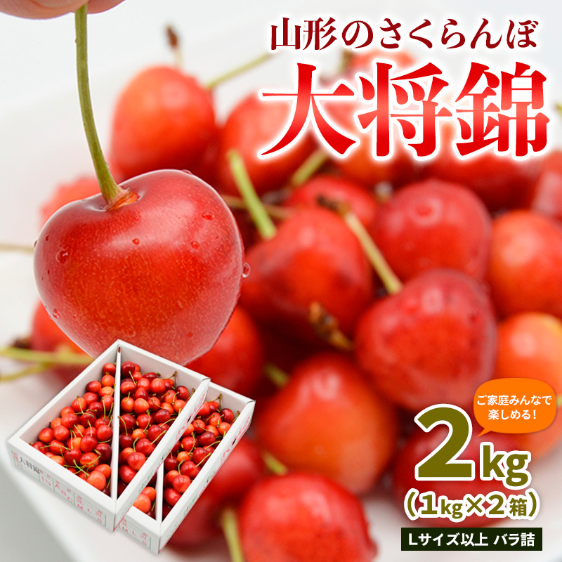 【ご家庭みんなで楽しめる！2kg】山形のさくらんぼ 大将錦 2kg Lサイズ以上 バラ詰(1kg×2箱) 【令和8年産先行予約】FS25-008
