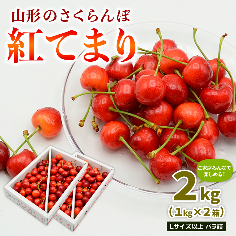 【ご家庭みんなで楽しめる！2kg】山形のさくらんぼ 紅てまり 2kg Lサイズ以上 バラ詰 (1kg×2箱) 【令和8年産先行予約】FS25-009