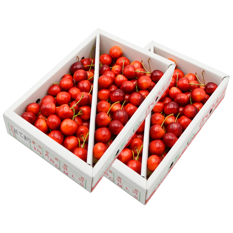 【ご家庭みんなで楽しめる！2kg】山形のさくらんぼ 紅てまり 2kg Lサイズ以上 バラ詰 (1kg×2箱) 【令和8年産先行予約】FS25-009