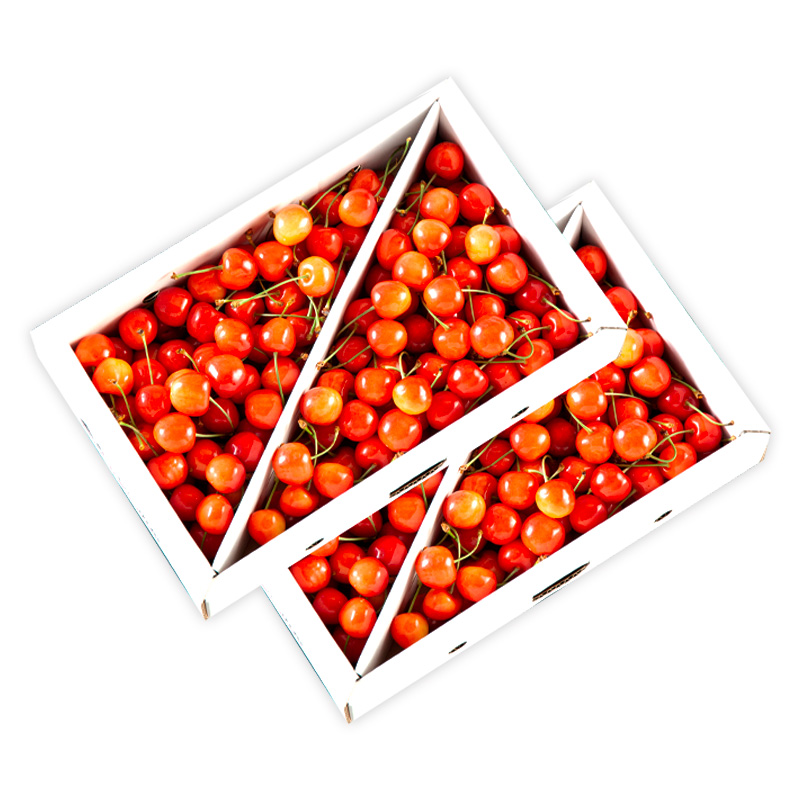 【ご家庭みんなで楽しめる！2kg】山形のさくらんぼ 佐藤錦 2kg Lサイズ以上 バラ詰 (1kg×2箱) 【令和8年産先行予約】FS25-011