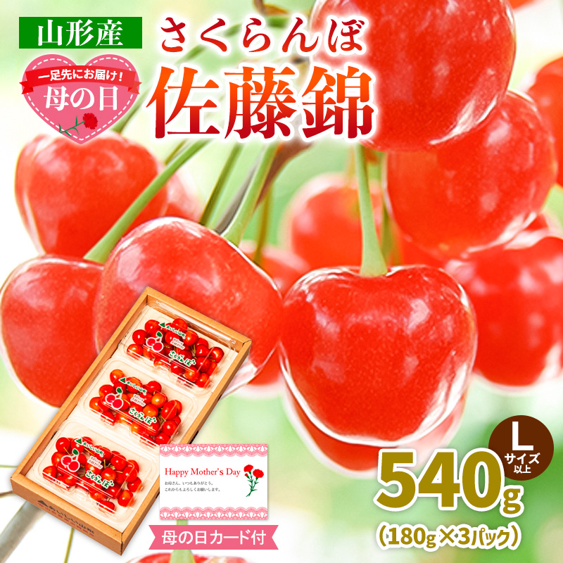 一足先にお届け！【母の日】さくらんぼ佐藤錦540gLサイズ以上(180g×3パック) 【令和8年産先行予約】FS25-014