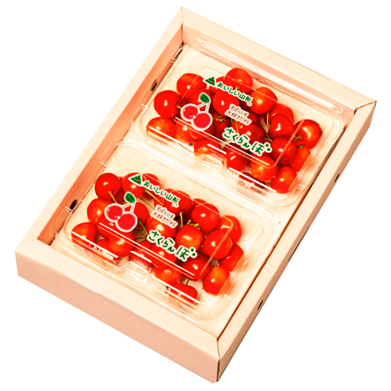 山形のさくらんぼ 大将錦 360gLサイズ以上 (180g×2パック) 【令和8年産先行予約】FS25-015