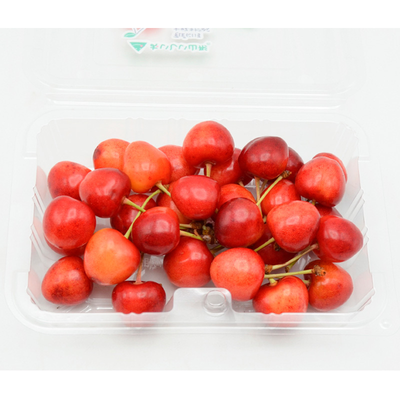 山形のさくらんぼ 大将錦 360gLサイズ以上 (180g×2パック) 【令和8年産先行予約】FS25-015