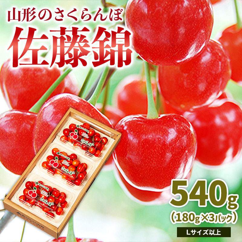 山形のさくらんぼ 佐藤錦 540g Lサイズ以上 (180g×3パック) 【令和8年産先行予約】FS25-024