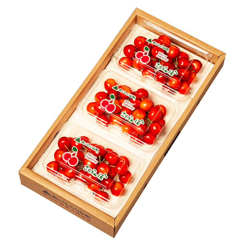 山形のさくらんぼ 佐藤錦 540g Lサイズ以上 (180g×3パック) 【令和8年産先行予約】FS25-024