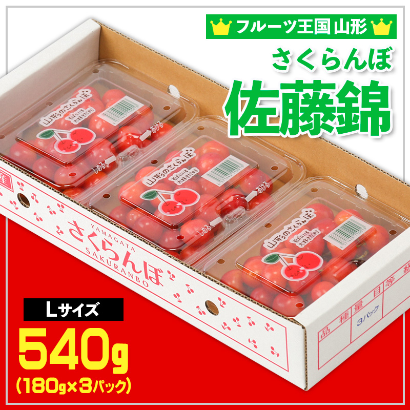 ☆フルーツ王国山形☆さくらんぼ 佐藤錦 Lサイズ 540g(180g×3P) 【令和8年産先行予約】FS25-006