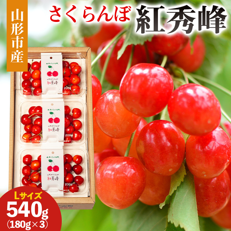 山形市産 さくらんぼ(紅秀峰)L 540g(180g×3) 【令和8年産先行予約】FS25-029