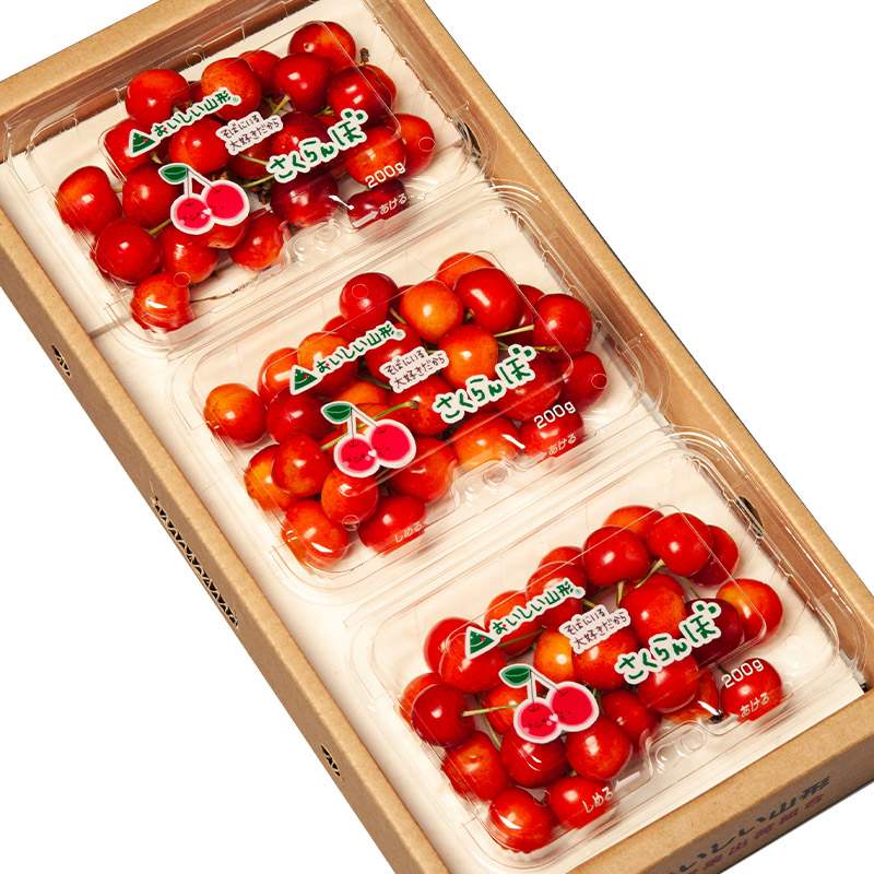 山形市産 さくらんぼ(佐藤錦)Ｌ 540g(180ｇ×3) 【令和8年産先行予約】FS25-030