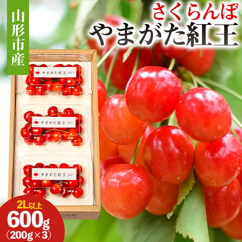 山形市産 さくらんぼ(やまがた紅王)2L以上 600g(200g×3) 【令和8年産先行予約】FS25-051