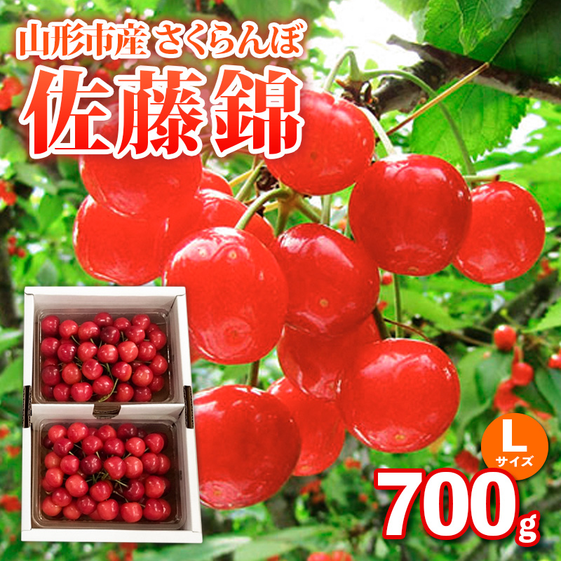 山形市産さくらんぼ【佐藤錦】Lサイズ 700g バラ詰め【令和8年産先行予約】FS25-036
