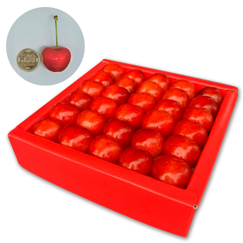 山形市産さくらんぼ「やまがた紅王プレミアム」 約350g 特秀品 4L 30粒  【令和8年産先行予約】FS25-037