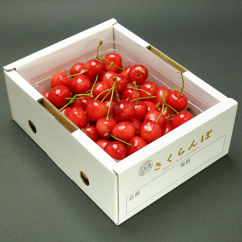 ☆旬☆さくらんぼ 紅秀峰 2Lサイズ 500g バラ 化粧箱詰 【令和8年産先行予約】FS25-053