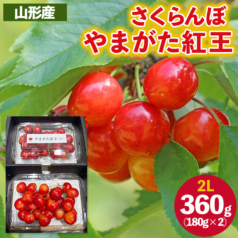さくらんぼ ”やまがた紅王” 2Lサイズ 360g(180g×2パック入り) 【令和8年産先行予約】FS25-054