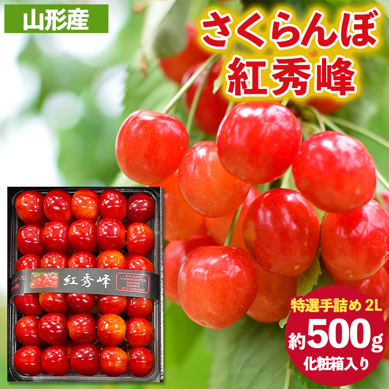 さくらんぼ 紅秀峰 ”特選手詰め” 2Lサイズ 化粧箱入り(約500g) 【令和8年産先行予約】FS25-057