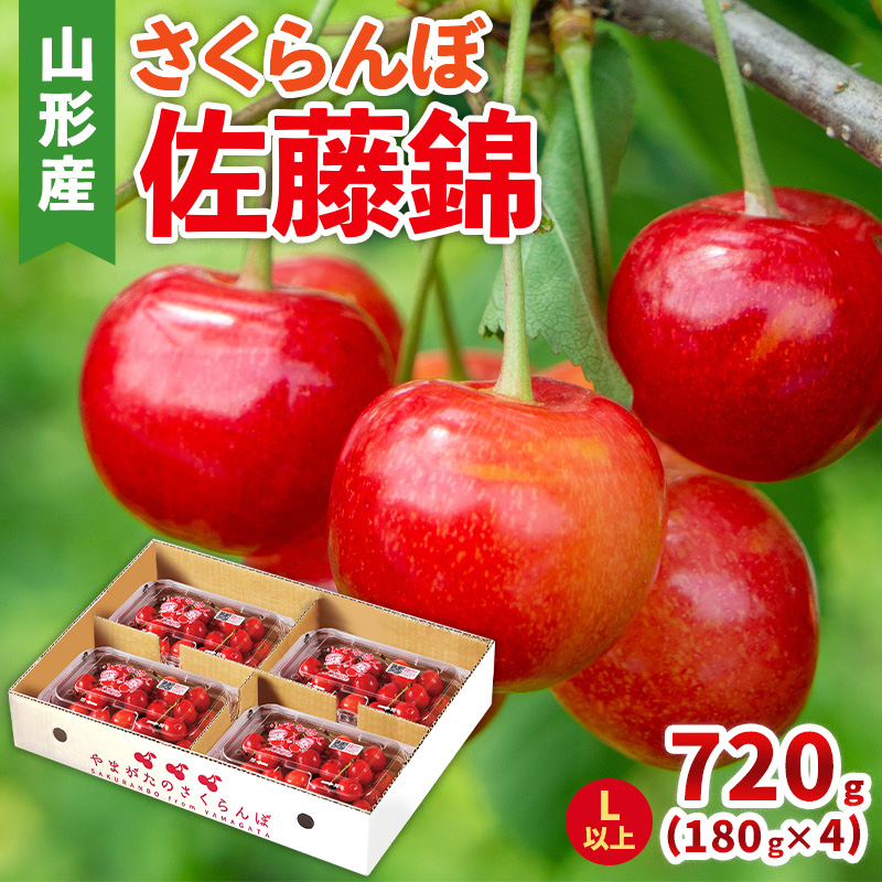 さくらんぼ(佐藤錦) Lサイズ 720g(180g×4パック) 【令和8年産先行予約】FS25-046