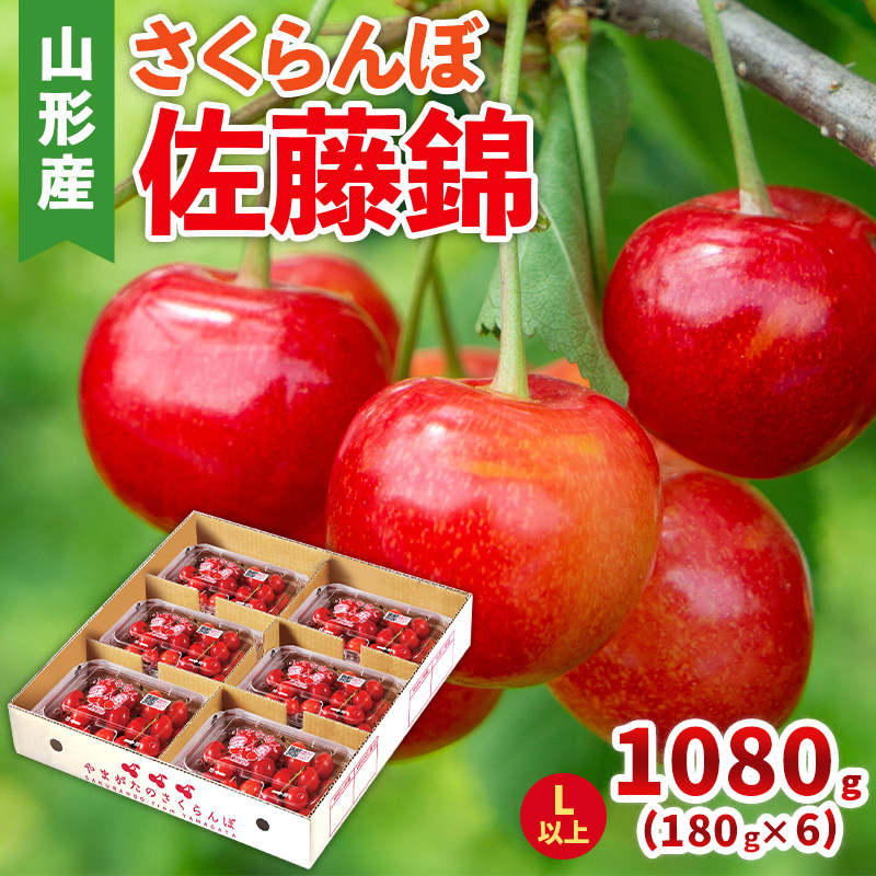 さくらんぼ(佐藤錦) Lサイズ 1080g(180g×6パック)【令和8年産先行予約】FS25-047