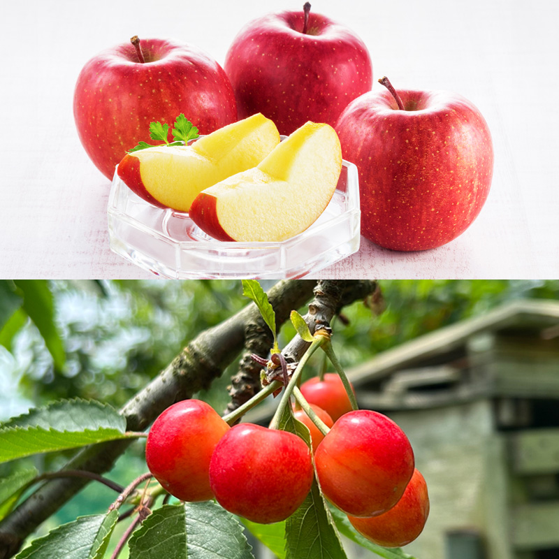 【定期便4回】☆フルーツ王国山形☆『紅秀峰、白桃、すもも、りんご』 FY25-310