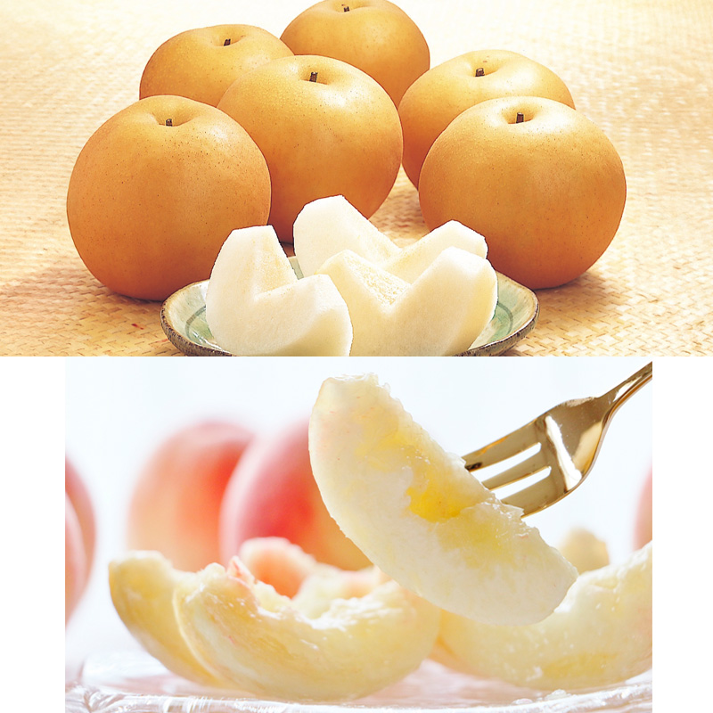 【定期便4回】☆フルーツ王国山形☆『和梨、白桃、ラ・フランス、りんご』 FY25-319