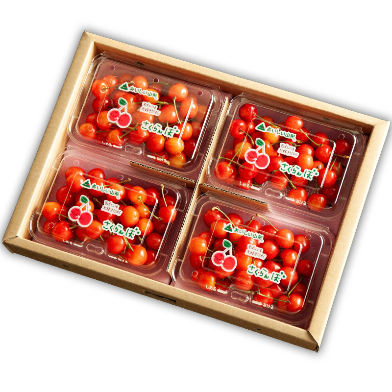 山形のさくらんぼ 佐藤錦 720g(180g×4パック) 2Lサイズ以上 【令和8年産先行予約】FS25-517