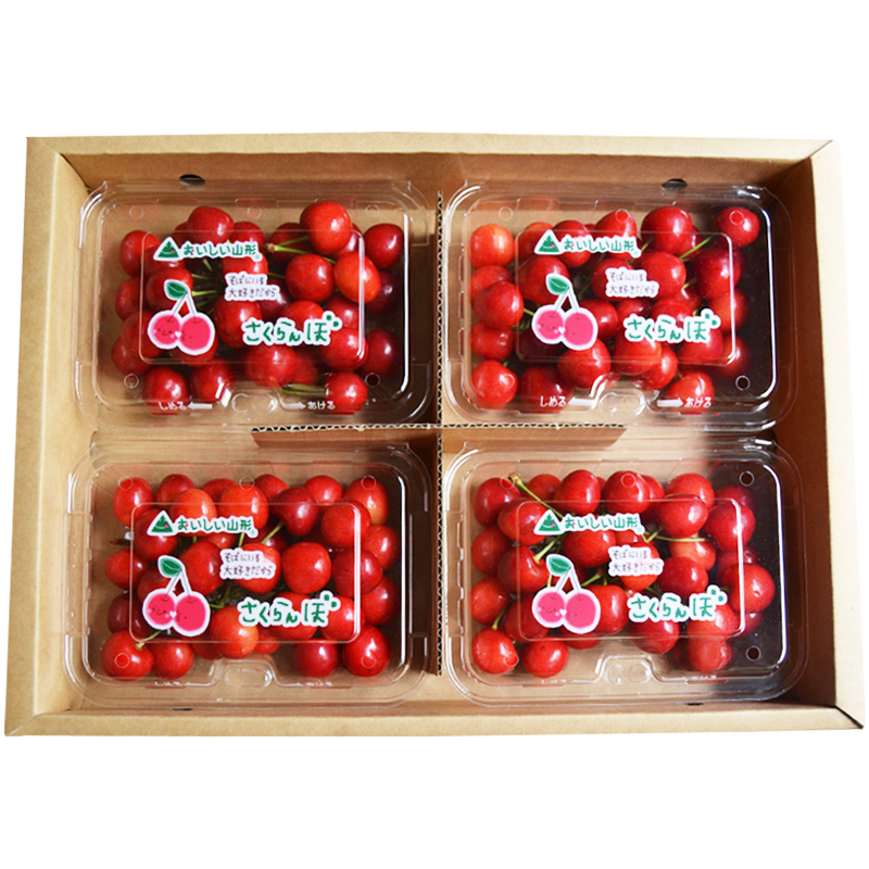 山形のさくらんぼ 紅てまり Lサイズ以上 720g(180g×4) 【令和8年産先行予約】FS25-524