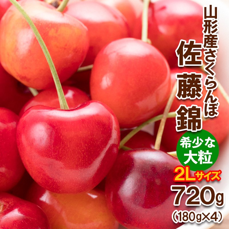 さくらんぼ 佐藤錦”希少な大粒” 2Lサイズ 720g(180g×4パック) 【令和8年産先行予約】FS25-569