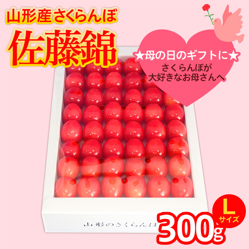 ★5月まるごと母の日★さくらんぼ 佐藤錦 Lサイズ 300g 手詰  (5/15～発送)【令和8年産先行予約】FS25-551