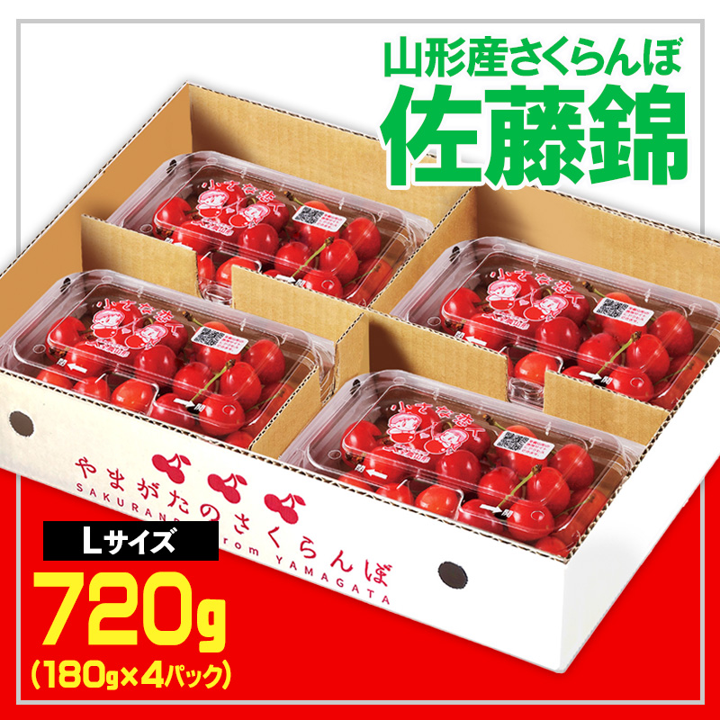 ★山形産 さくらんぼ 佐藤錦★L 720g (180g×4P)【令和8年産先行予約】 FS25-554