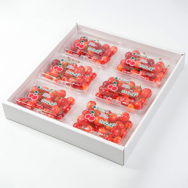 さくらんぼ 佐藤錦 Ｌ 1080g (180g×6パック) 【令和8年産先行予約】FS25-532