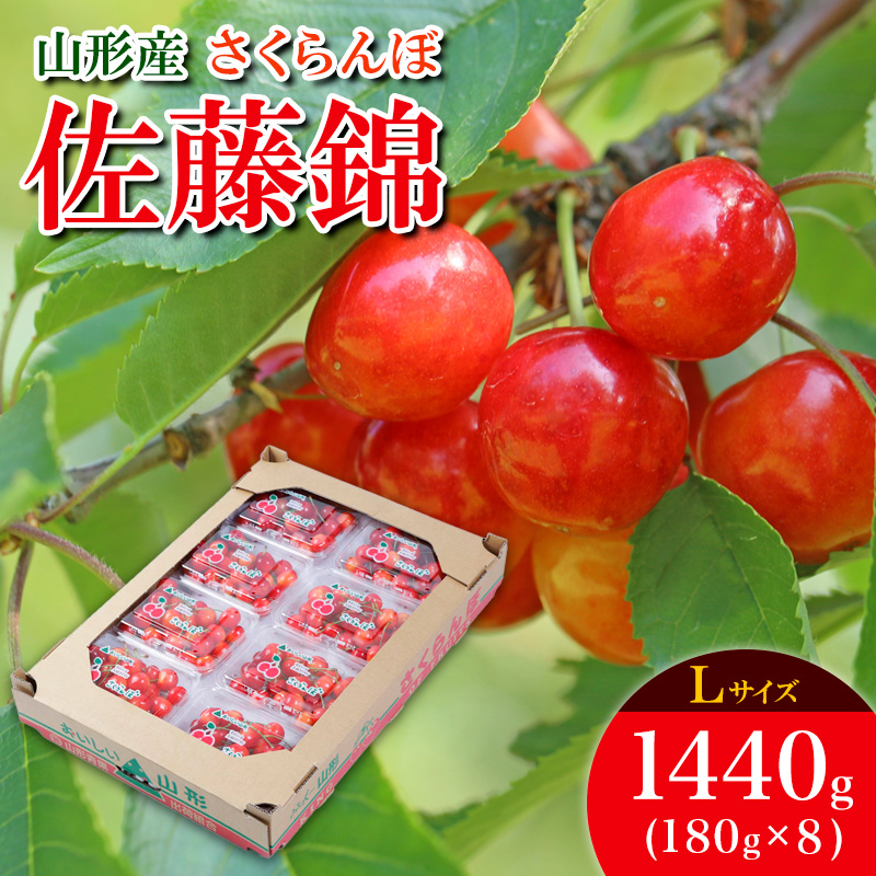 さくらんぼ 佐藤錦 L 1440g(180g×8) 【令和8年産先行予約】FS25-533