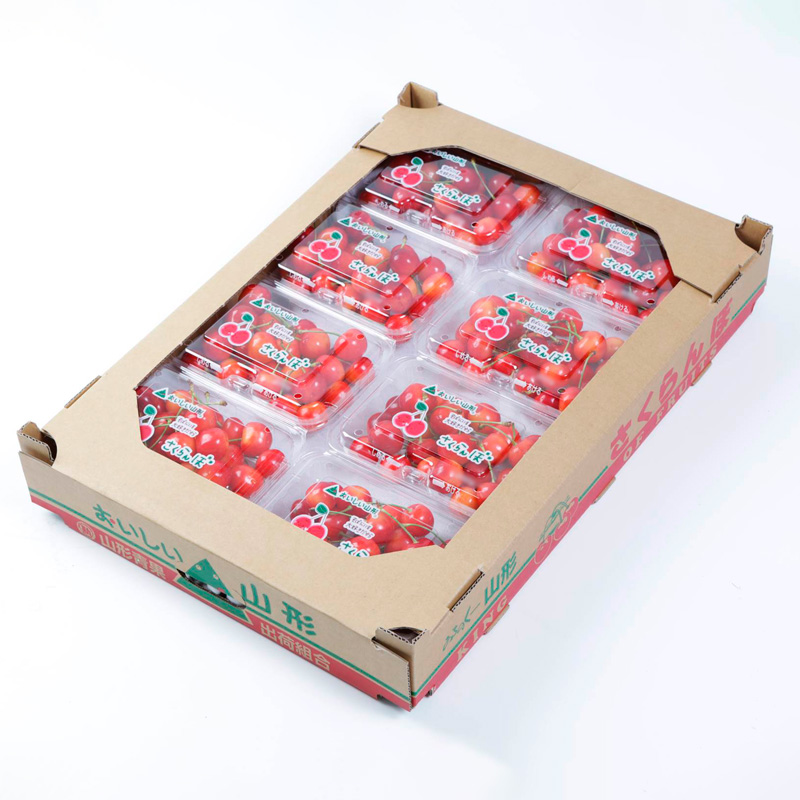 さくらんぼ 佐藤錦 L 1440g(180g×8) 【令和8年産先行予約】FS25-533