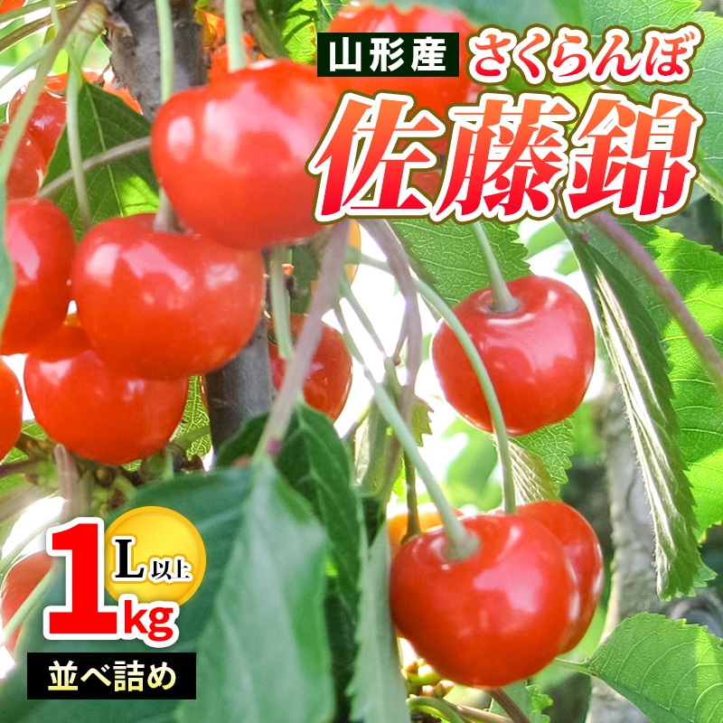 山形産 さくらんぼ佐藤錦 特秀 1kg 並べ詰め L以上 【令和8年産先行予約】FS25-502