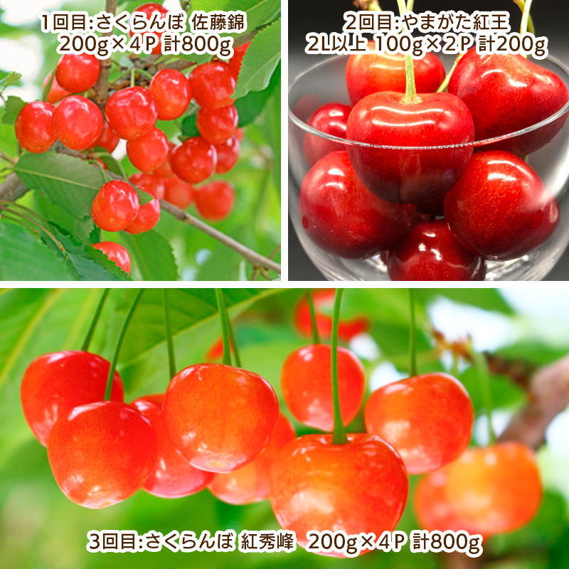 【定期便3回】さくらんぼ堪能定期便【令和8年産先行予約】FS25-062