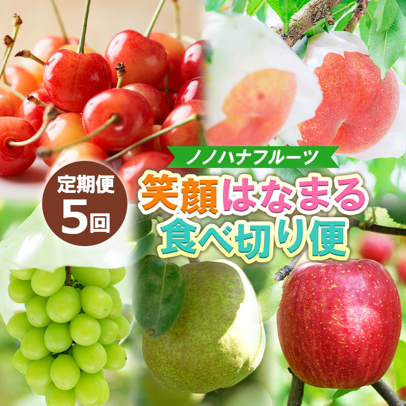 【定期便5回】ノノハナフルーツ 笑顔はなまる食べ切り便  FY25-328