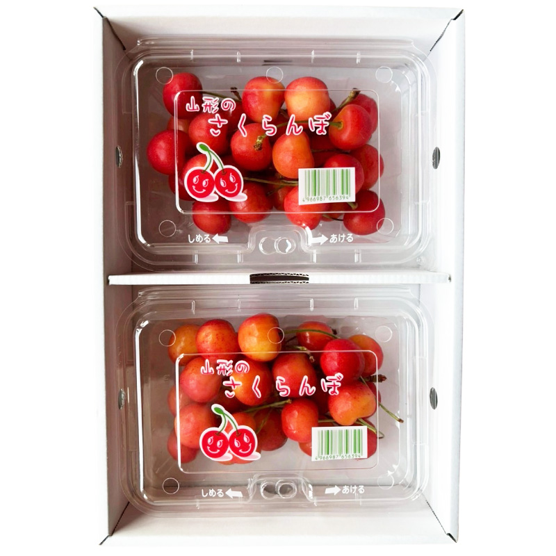 【定期便5回】ノノハナフルーツ 笑顔はなまる食べ切り便  FY25-328