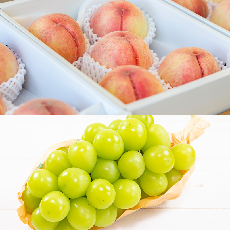 【定期便5回】ノノハナフルーツ 笑顔はなまる食べ切り便  FY25-328