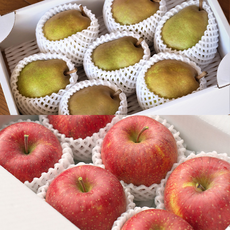 【定期便5回】ノノハナフルーツ 笑顔はなまる食べ切り便  FY25-328