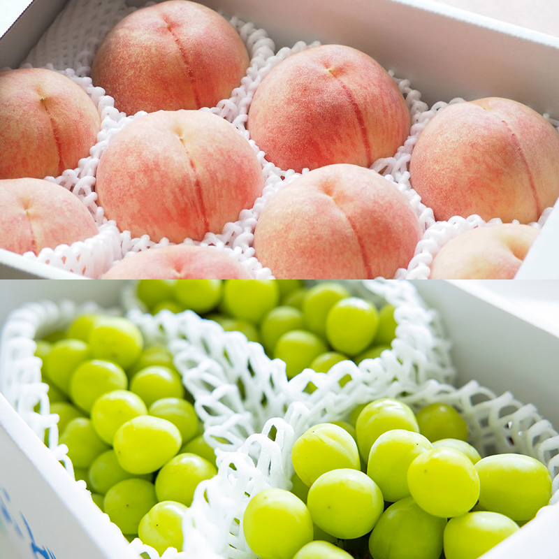 【定期便5回】ノノハナフルーツ 笑顔はなまる満足便 FY25-330