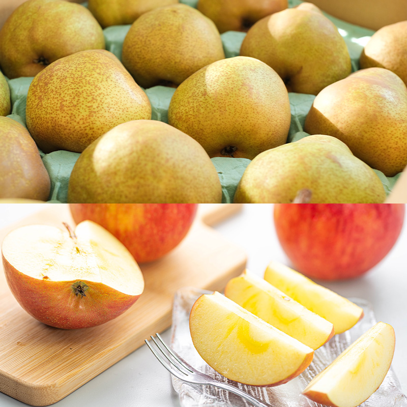 【定期便5回】ノノハナフルーツ 笑顔はなまる満足便 FY25-330