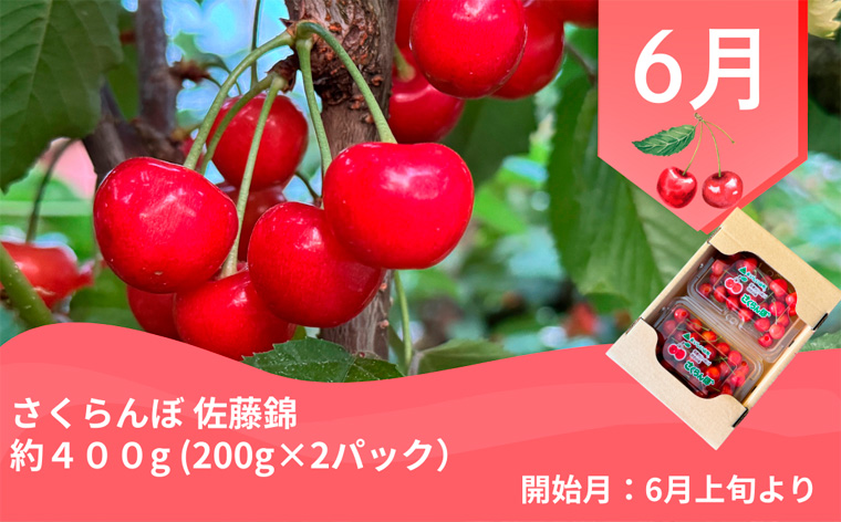 【定期便4回】やまがた 郷土フルーツ定期便 佐藤錦・やわらかめ白桃・シャインマスカットとピオーネ・りんごとラ・フランス FZ23-929