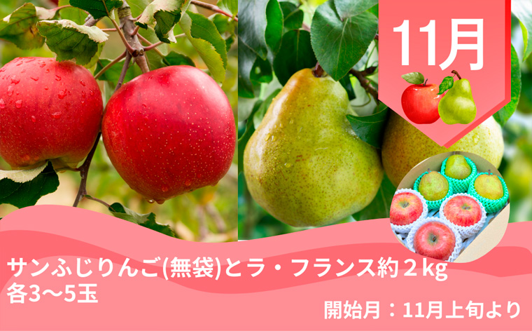 【定期便4回】やまがた 郷土フルーツ定期便 佐藤錦・やわらかめ白桃・シャインマスカットとピオーネ・りんごとラ・フランス FZ23-929